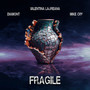 Fragile (Explicit)