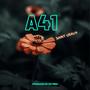 A41 (April Fools) [Explicit]