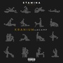 Stamina (Remix)