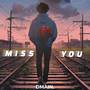 Miss You (Explicit)