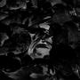 Dirty Pigeon (feat. Forseiken) [Explicit]