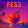 FESS