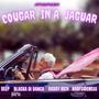 COUGAR IN A JAGUAR (Explicit)