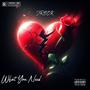 What You Need (Explicit)