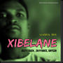 XIBELANI (feat. SkyForce & DryGin)