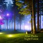 Night forest