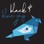 Black & Blue Jay