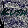 Kush (feat. M4vss) [Explicit]