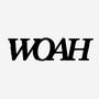 WOAH (feat. Checks, BRUHMANEGOD, Cxrpse & Fenrir) [Explicit]