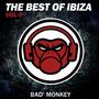 The Best Of Ibiza Vol.9, Compiled By Bad Monkey