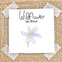 Wildflower