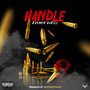 Handle (Explicit)