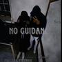 NO GUIDANCE (Explicit)