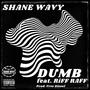 Dumb (feat. Riff Raff) [Explicit]