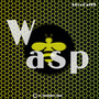 Wasp