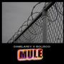 MULE (feat. BOLISCO)