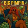 Big Pimpin (Explicit)