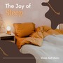 The Joy of Sleep - Sleep Aid Music