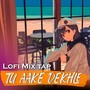 TU AAKE DEKHLE Lofi Mix Tape