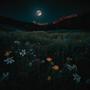 wildflowers (Explicit)