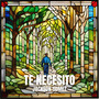 Te Necesito (Remasterizado 2012)
