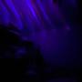 Forn (Explicit)
