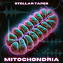 Mitochondria