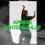 Winterschlaf (Explicit)