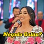 Necede Gelim