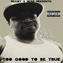 Too Good To Be True (Explicit)