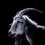 No Pueden Frena (feat. Blicky3, Ghost, Choko Outside & NYB) [Explicit]