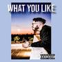 What You Like (Explicit)