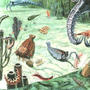 song for the precambrian creatures