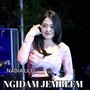 NGIDAM JEMBLEM (Live Dangdut koplo)