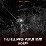 The Feeling of Power Triam