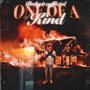 One of ah kind (Explicit)