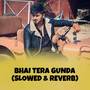 Bhai tera gunda (slowed & reverb)