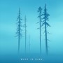 Tall Pines