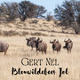 Blouwildebees Jol