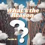 What's the Reason? (Explicit)