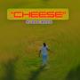 Cheese (Freestyle) [Explicit]