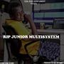 RIP JUNIOR MULTISYSTEM (feat. RISSA LINES, SHOW BOI, NIYOMPANO & BRIGHT)