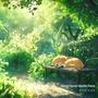 Silent Forest Gentle Piano
