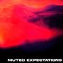 muted expectations (Explicit)