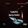 Subtle Interlude (feat. ShaSha Rebel Child) [Explicit]