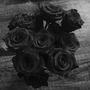 Black Roses (Explicit)