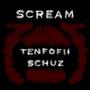 SCREAM (feat. schuz) [Explicit]