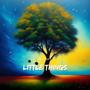 Little Things (feat. Serenity) [Radio Edit]