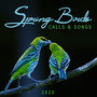 Spring Birds Calls & Songs 2020