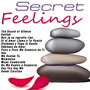 Secret Feelings